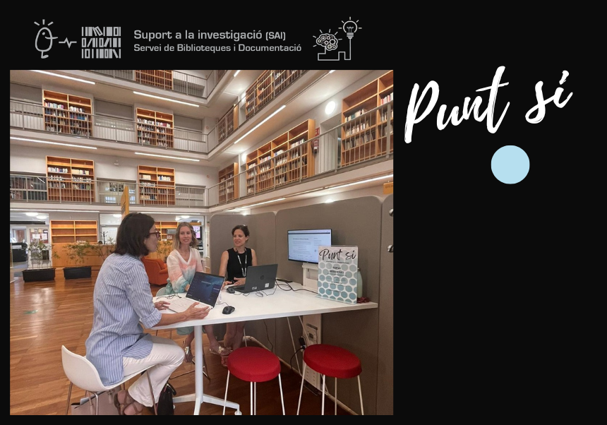 Punt SI